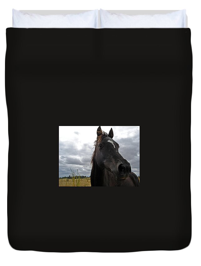 Black Beauty Duvet Cover featuring the photograph Midnight Melody by Susan Baker