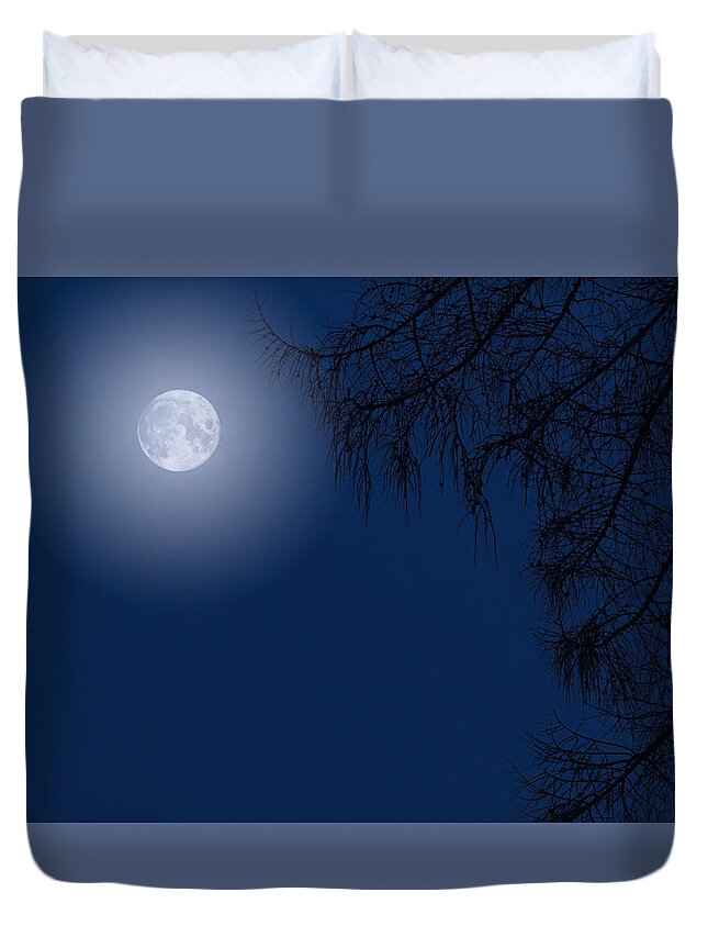 Dusk Moonlight Tree Duvet Cover featuring the photograph Midnight Moon and Night Tree Silhouette by John Williams