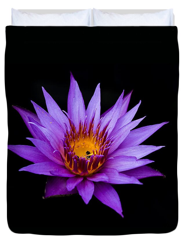 Water Lily Duvet Cover featuring the photograph Midnight Water Lily by Mindy Musick King