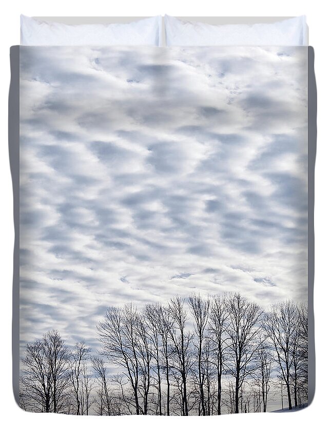 Winter Duvet Cover featuring the photograph Midwinter Landscape by Alan L Graham