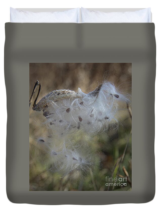 Seeds Duvet Cover featuring the photograph Milkweed by Alana Ranney
