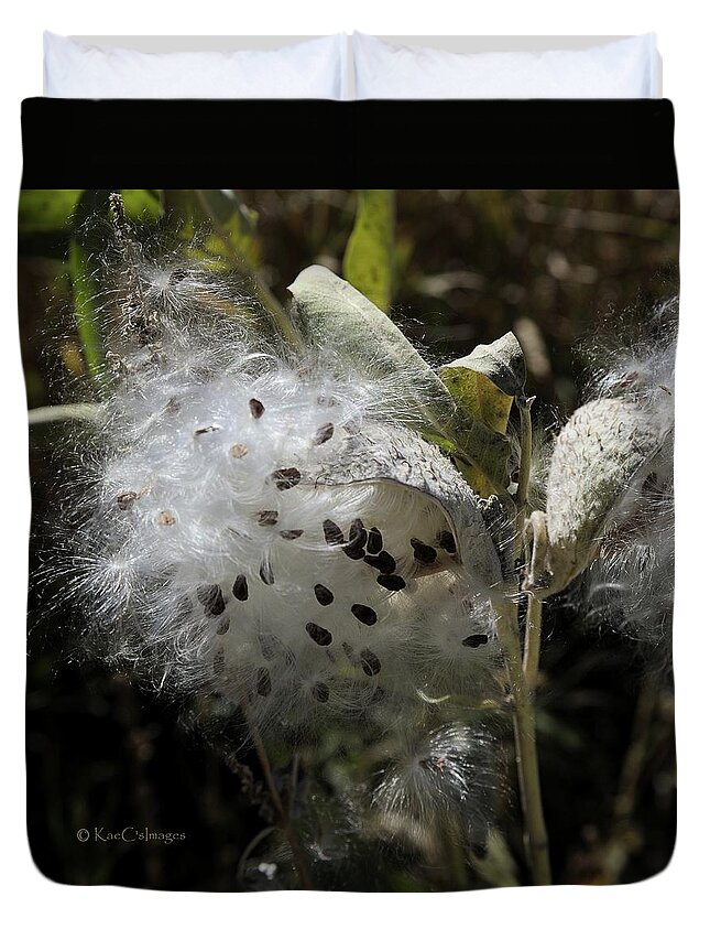 Milkweed Duvet Cover featuring the photograph Milkweed Seeds Emerging by Kae Cheatham