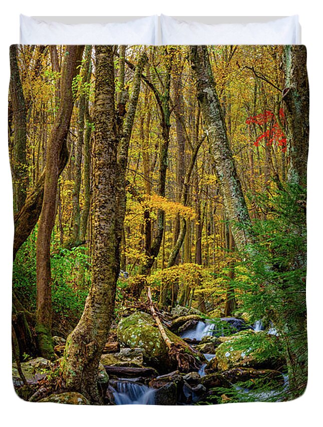 Landscape Duvet Cover featuring the photograph Mill Creek in Fall #1 by Joe Shrader