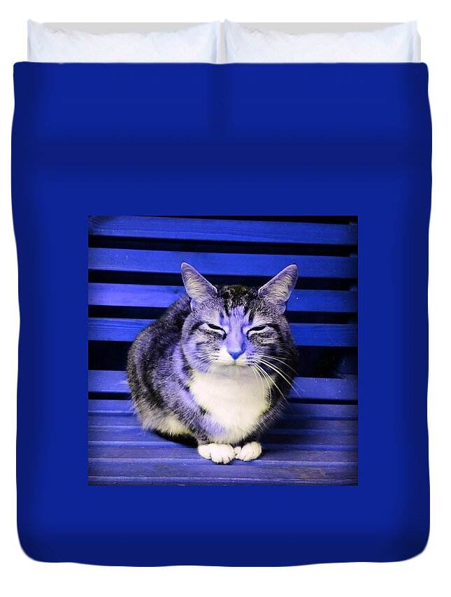 Cat Duvet Cover featuring the photograph Mindful Cat in Electric Blue by Rowena Tutty