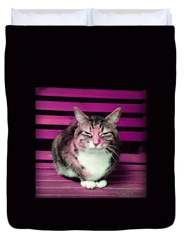 Cat Duvet Cover featuring the photograph Mindful Cat in Pink by Rowena Tutty