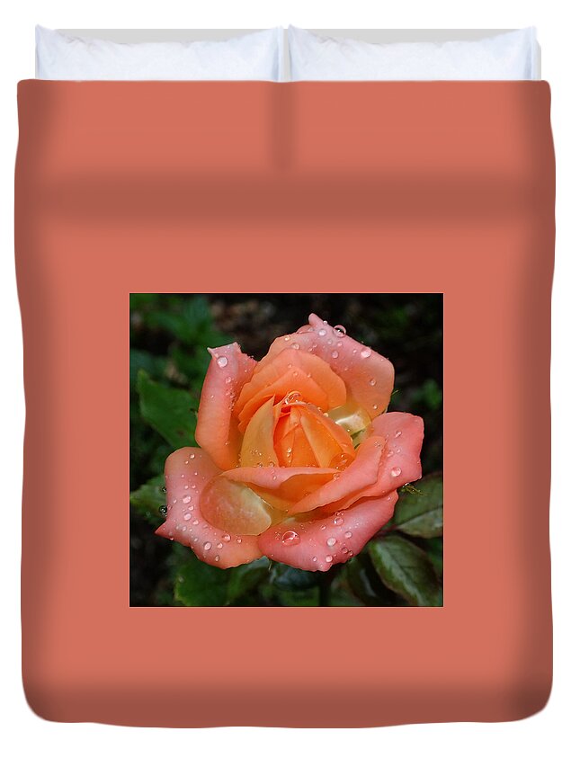 Miniature Duvet Cover featuring the photograph Miniature Wet Rose by Farol Tomson