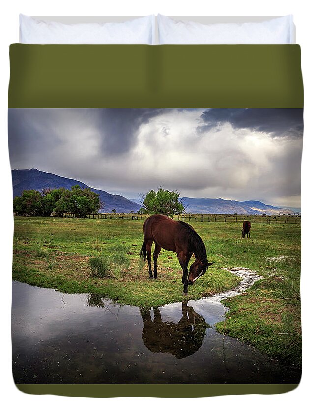 Horse Duvet Cover featuring the photograph Mirror, Mirror by Cat Connor