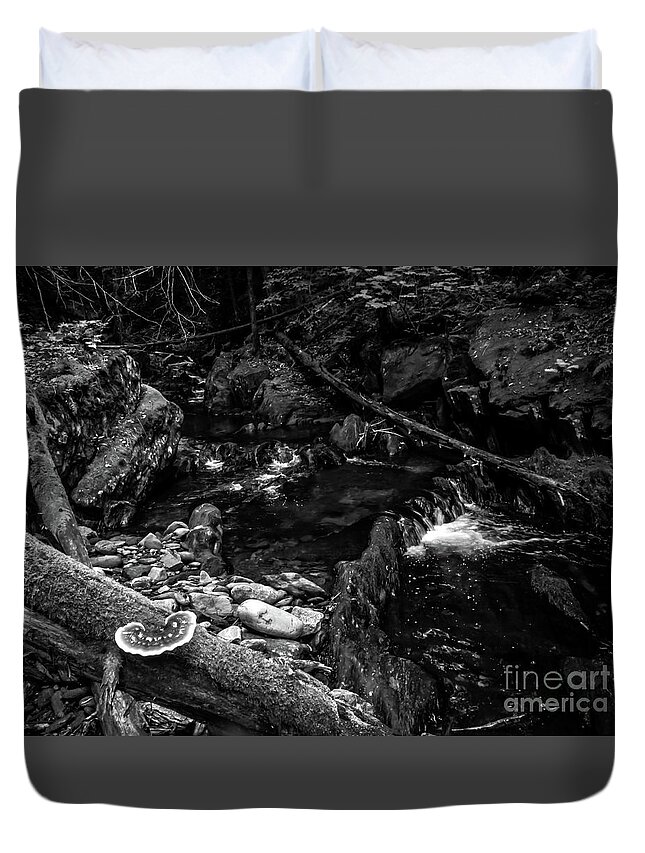 Vermont Duvet Cover featuring the photograph Missisquoi River in Vermont - 2 BW by James Aiken