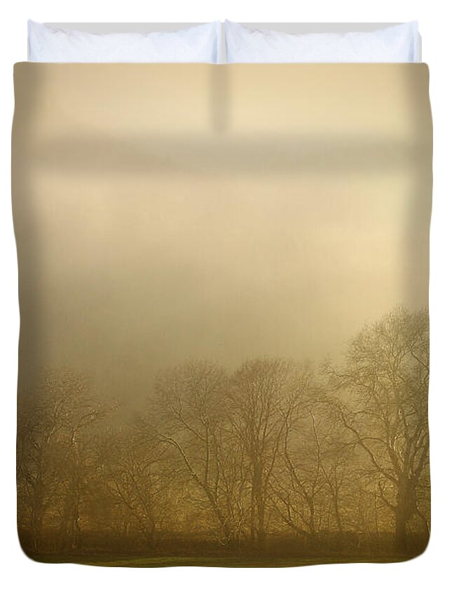 Landscape Duvet Cover featuring the photograph Mist in The Forest by Dimitar Hristov