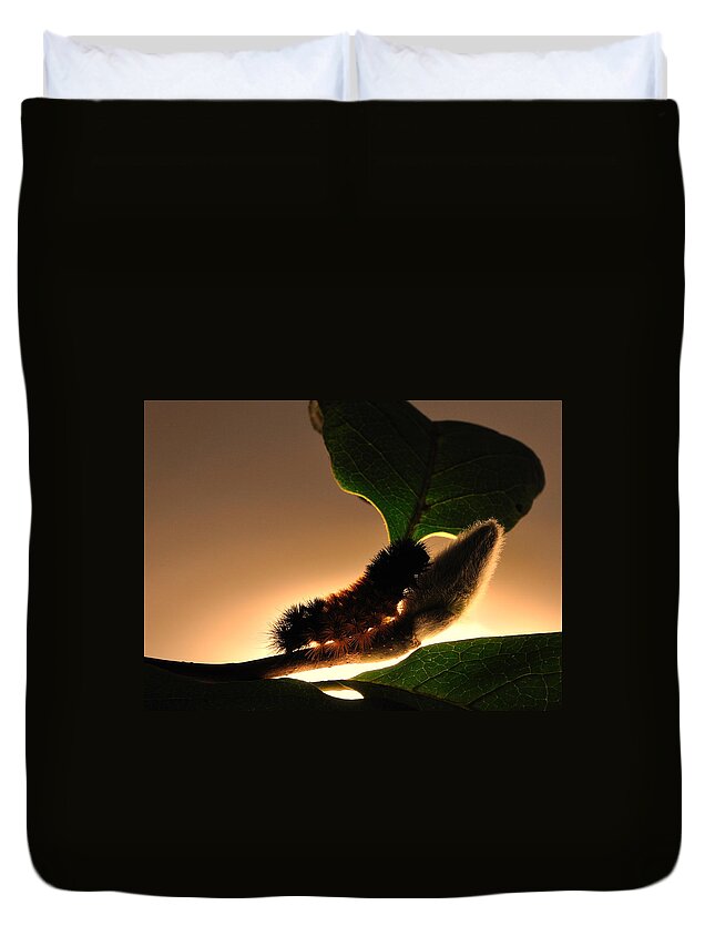 Caterpillar Duvet Cover featuring the photograph Mistaken Identity by Mark Fuller