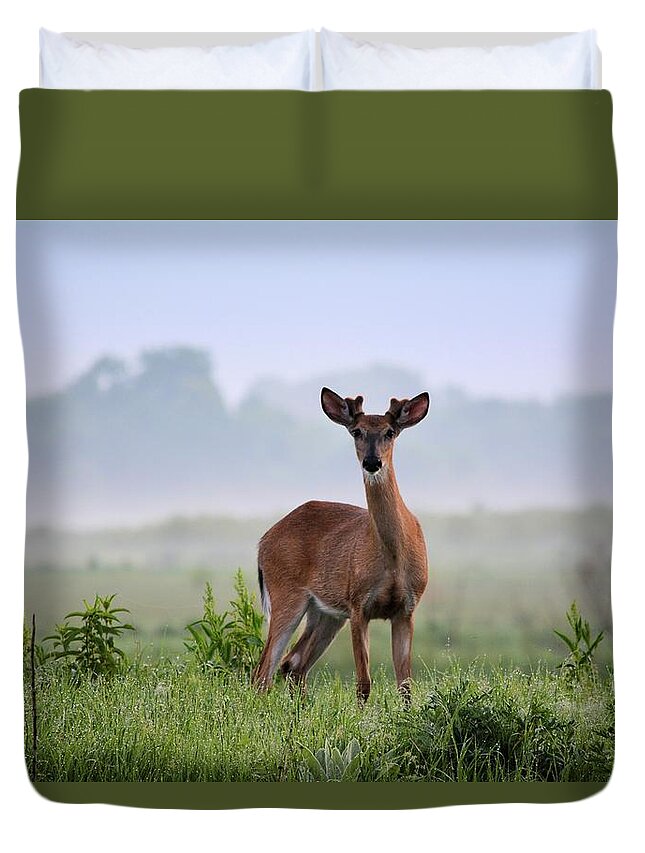 Deer Duvet Cover featuring the photograph Misty Buck by Bonfire Photography