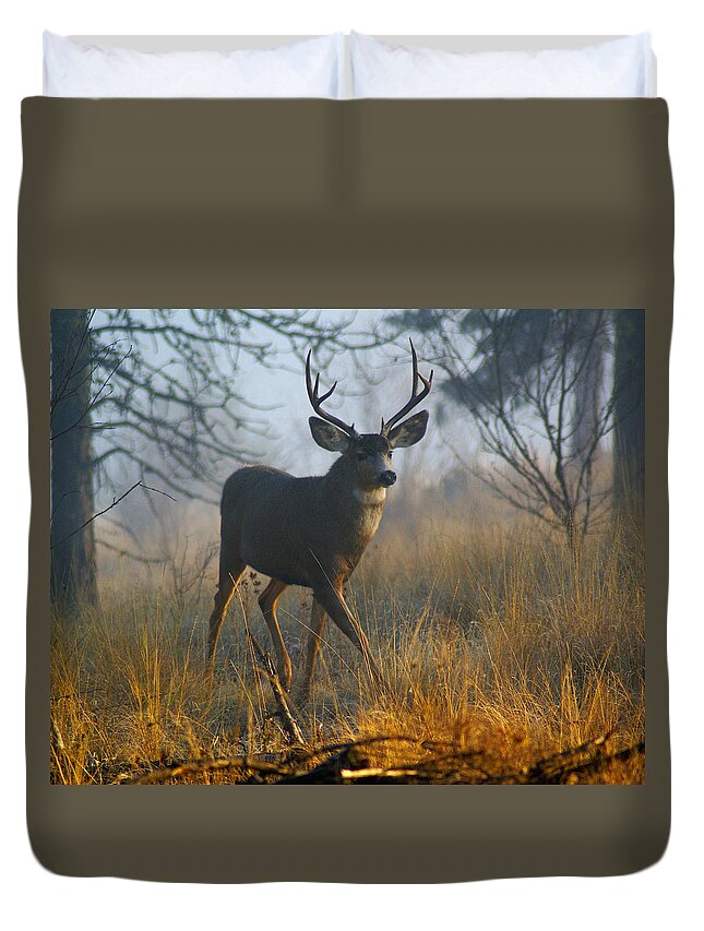 Deer Duvet Cover featuring the photograph Misty Morning Buck by Ben Upham III