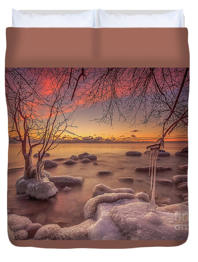 Branches Duvet Cover featuring the photograph MKE Freeze by Andrew Slater