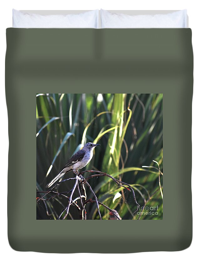 Scenic Duvet Cover featuring the photograph Mocker Portrait by Skip Willits