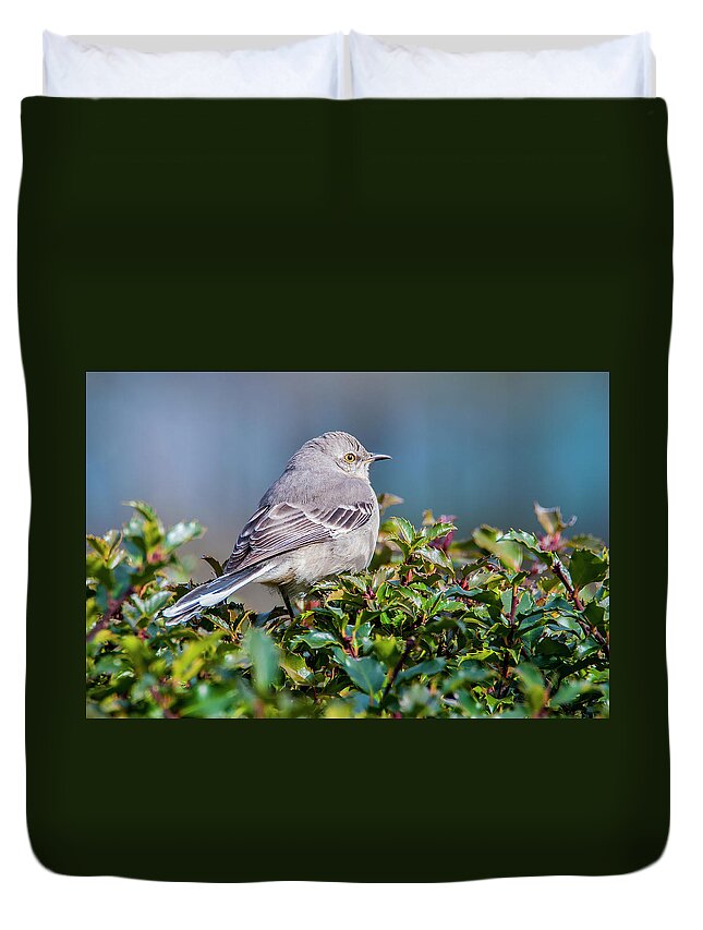 Mockingbird Duvet Cover featuring the photograph Mockingbird 2 by Cathy Kovarik
