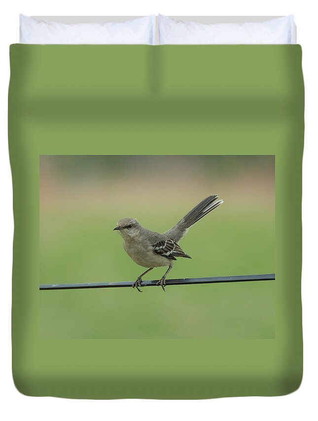 Jan Duvet Cover featuring the photograph Mockingbird by Holden The Moment