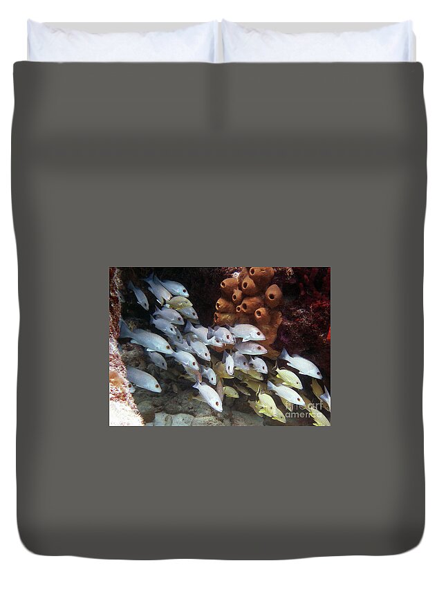 Underwater Duvet Cover featuring the photograph Molasses Reef 5 by Daryl Duda