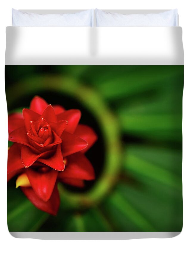 Mom Duvet Cover featuring the photograph Mom by Chad Dutson