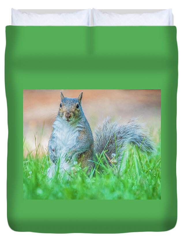 Mammal Duvet Cover featuring the photograph Momma Squirrel by Cathy Kovarik