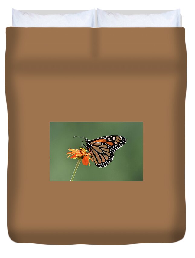 Monarch Duvet Cover featuring the photograph Monarch by Ben Foster