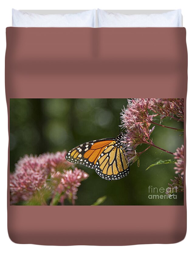 Maine Duvet Cover featuring the photograph Monarch Butterfly by Alana Ranney