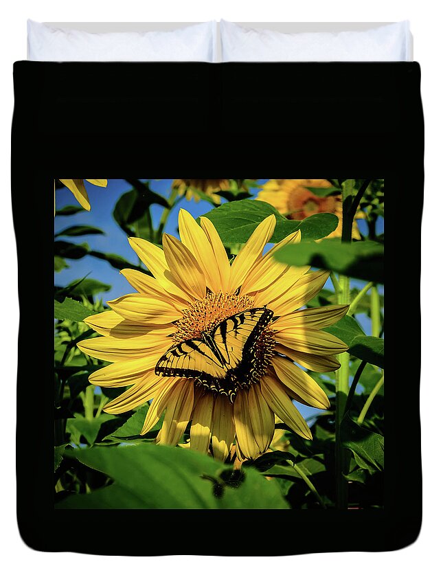 Male Eastern Tiger Swallowtail - Papilio Glaucus Duvet Cover featuring the photograph Male Eastern tiger swallowtail - Papilio glaucus and Sunflower by Louis Dallara