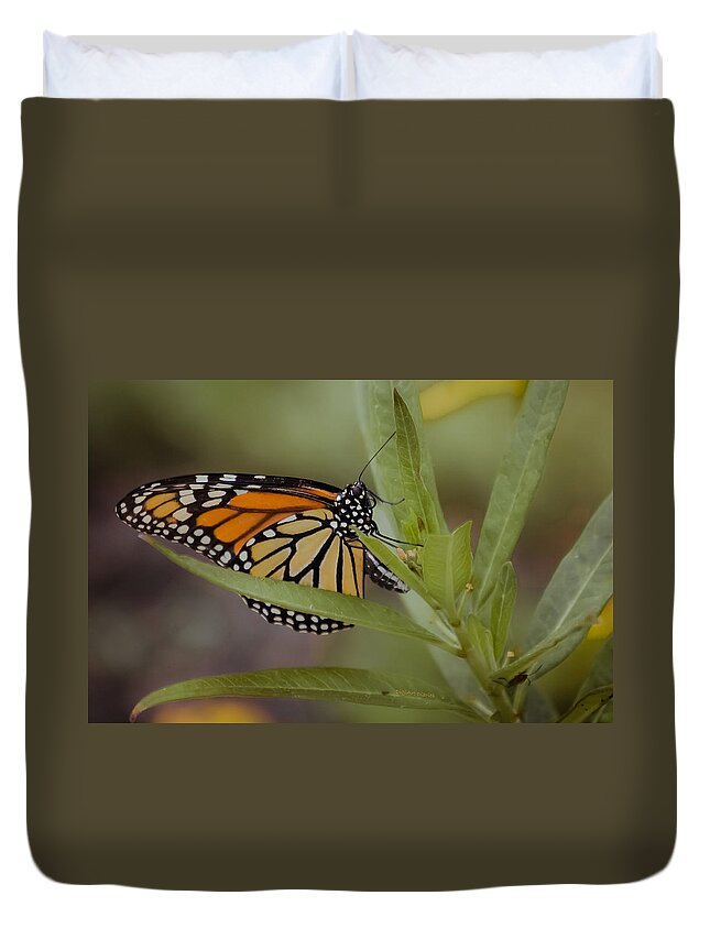 Monarch Duvet Cover featuring the photograph Monarch Desperation by DigiArt Diaries by Vicky B Fuller