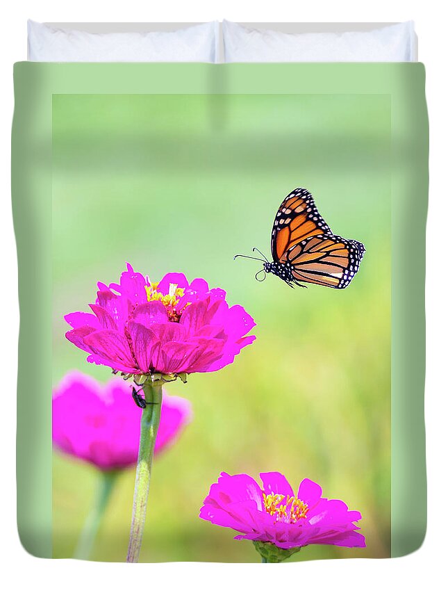 Butterfly Flying Flight Mid-air Mid Air Monarch Inset Butterflies Flowers Garden Botany Botanical Outside Outdoors Nature Natural Brian Hale Brianhalephoto Ma Mass Massachusetts Newengland New England U.s.a. Usa Duvet Cover featuring the photograph Monarch in Flight 1 by Brian Hale
