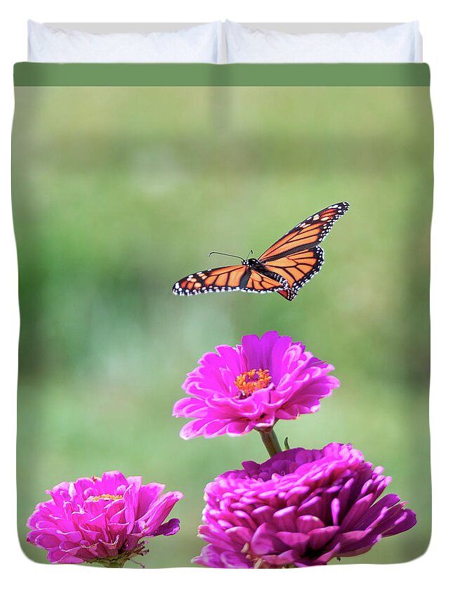 Butterfly Flying Flight Mid-air Mid Air Monarch Inset Butterflies Flowers Garden Botany Botanical Outside Outdoors Nature Natural Brian Hale Brianhalephoto Ma Mass Massachusetts Newengland New England U.s.a. Usa Duvet Cover featuring the photograph Monarch in Flight 2 by Brian Hale