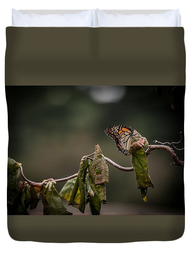 Monarch Duvet Cover featuring the photograph Monarch by Ray Congrove