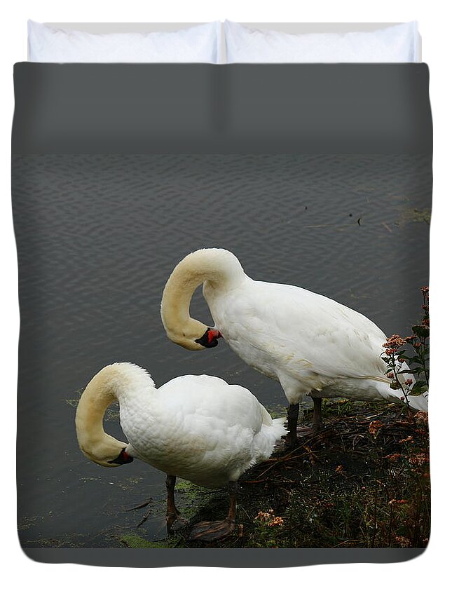 Swan Duvet Cover featuring the photograph Moneky See...... by Terrie Stickle