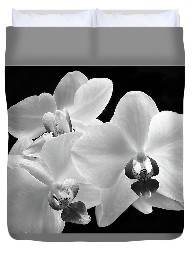Orchid Duvet Cover featuring the photograph Monochrome Orchid by Terence Davis