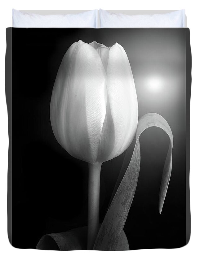 Tulips Duvet Cover featuring the photograph Monochrome Tulip portrait by Terence Davis