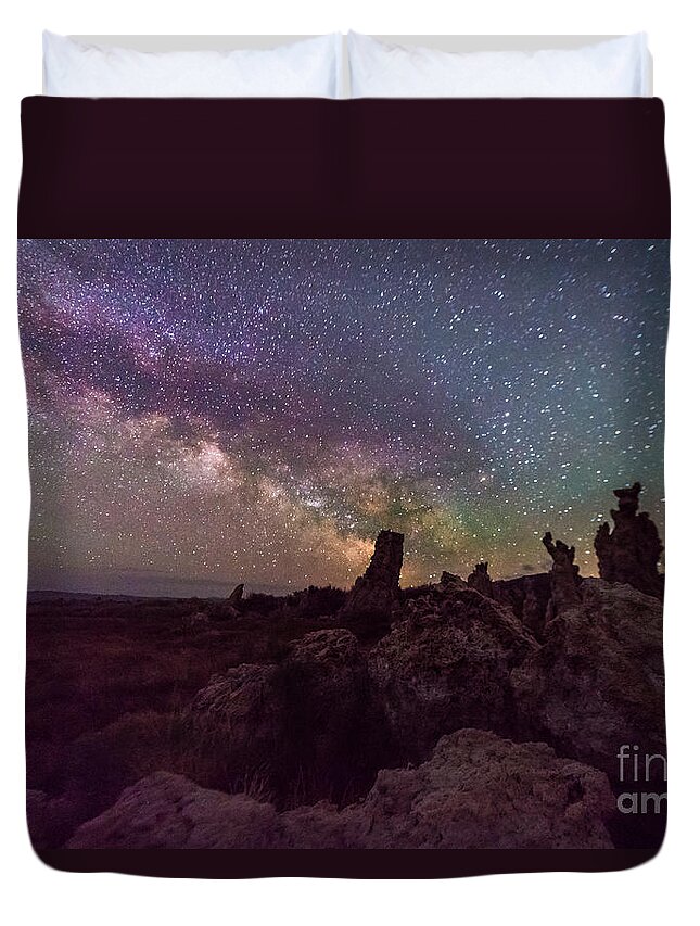 Monsters Duvet Cover featuring the photograph Monsters at Mono Lake by Jim DeLillo