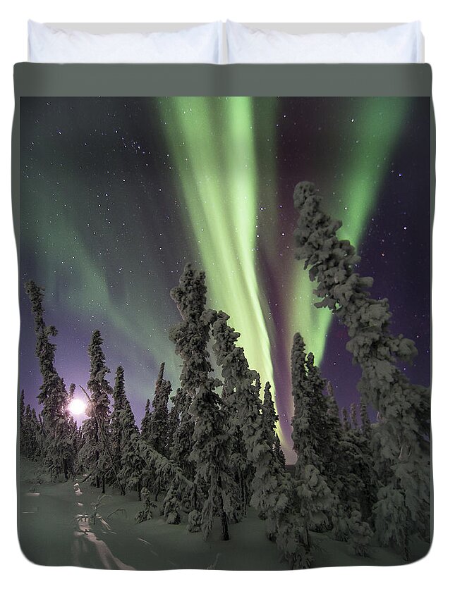 40 Below Duvet Cover featuring the photograph Moon Shadows by Ian Johnson