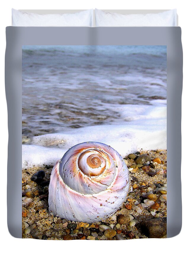 Moon Duvet Cover featuring the photograph Moon Snail by Charles Harden