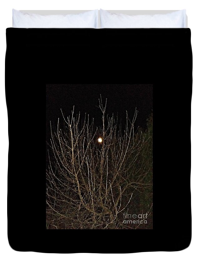 Tree Duvet Cover featuring the photograph Moonlight Branches by Diamante Lavendar