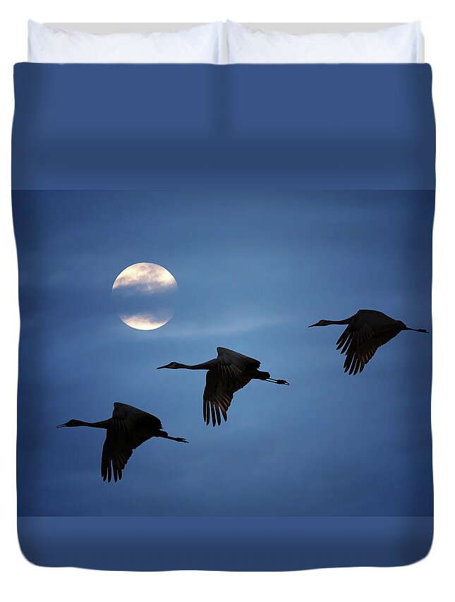 Sandhill Crane Duvet Cover featuring the photograph Moonlit Flight by Susan Rissi Tregoning