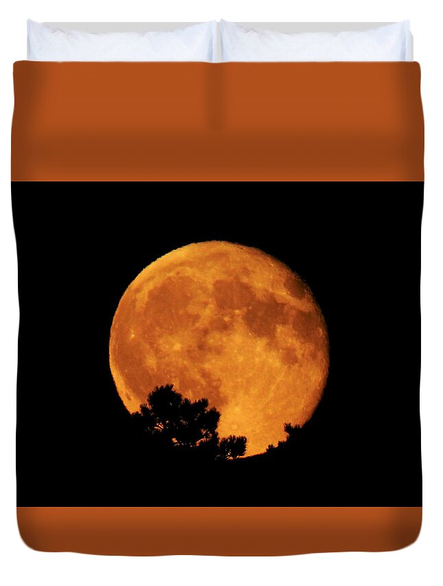 Moon Duvet Cover featuring the photograph Moonrise Over Pines by Dawn Key