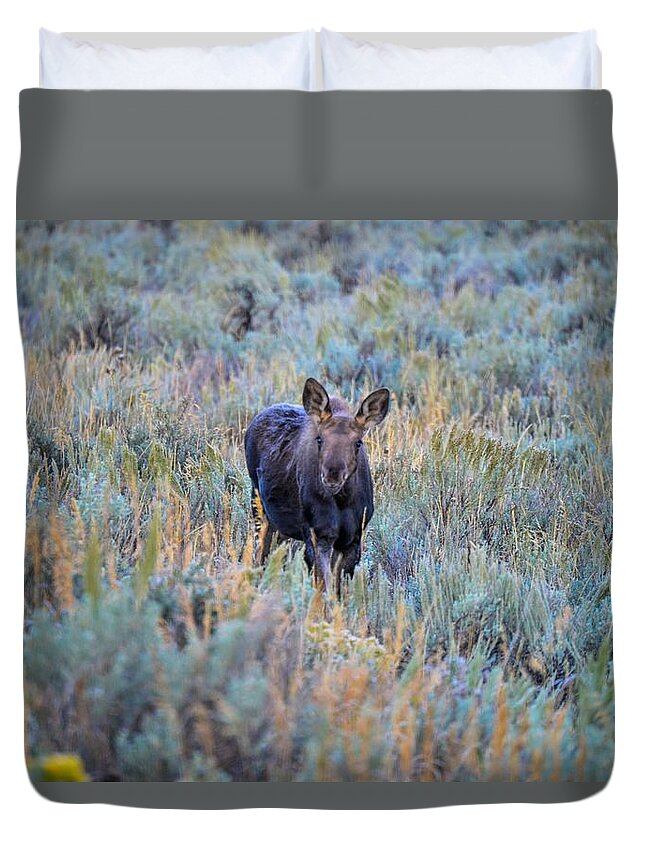 Grand Tetons Duvet Cover featuring the photograph Moose calf in Grand Teton National Park by Marilyn Burton