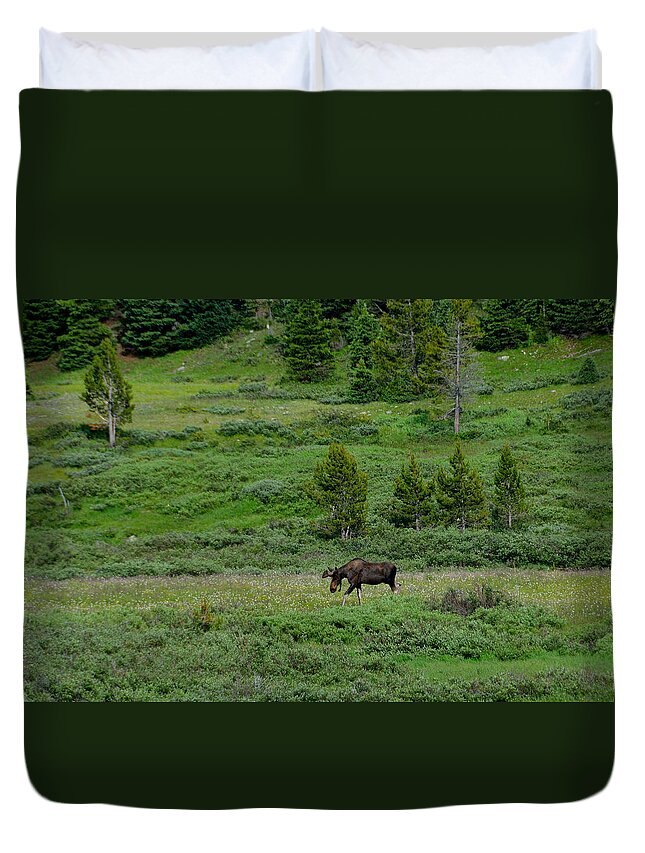 Moose Duvet Cover featuring the photograph Moose on the Loose by Tranquil Light Photography