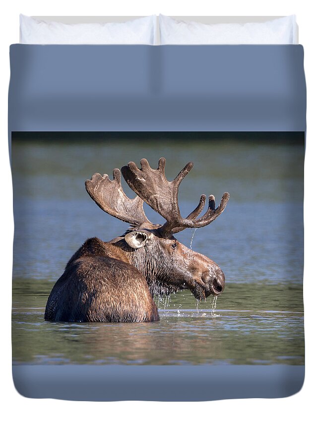 Moose Duvet Cover featuring the photograph Moose Profile by Jack Bell