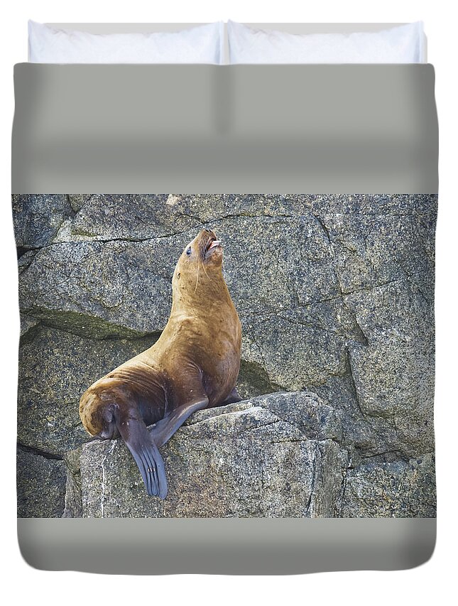 Wildlife. Stellar Duvet Cover featuring the photograph More Complaining by Harold Piskiel