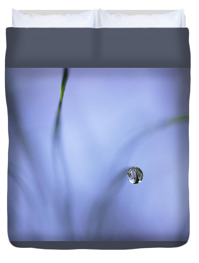 Pine Needles Duvet Cover featuring the photograph Morning Among The Pine by Mike Eingle