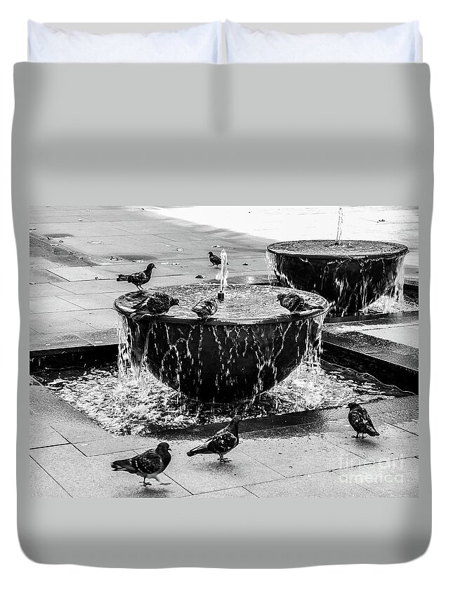 Fountain Duvet Cover featuring the photograph Morning Bath in Sydney by Lexa Harpell