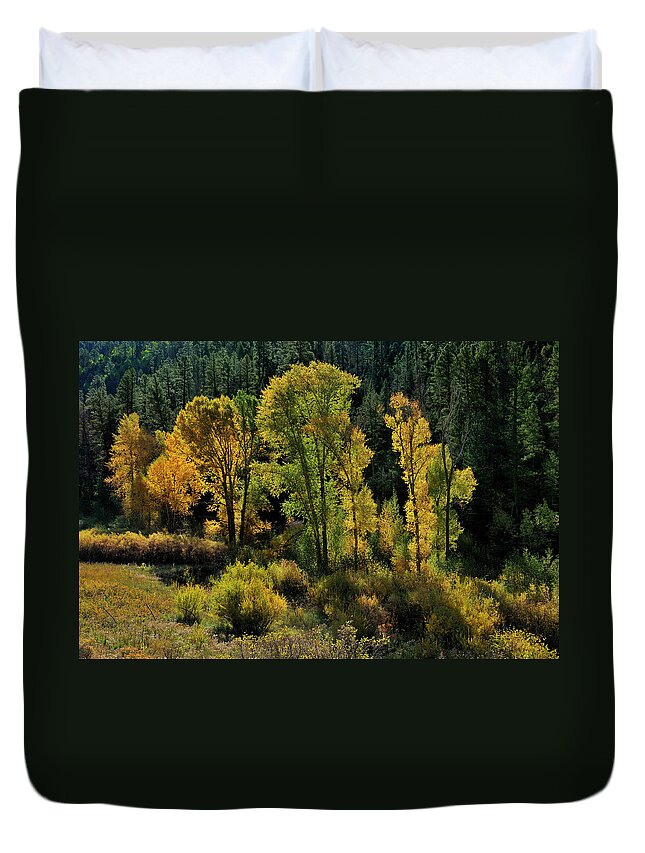 Landscape Duvet Cover featuring the photograph Morning Cottonwoods by Ron Cline
