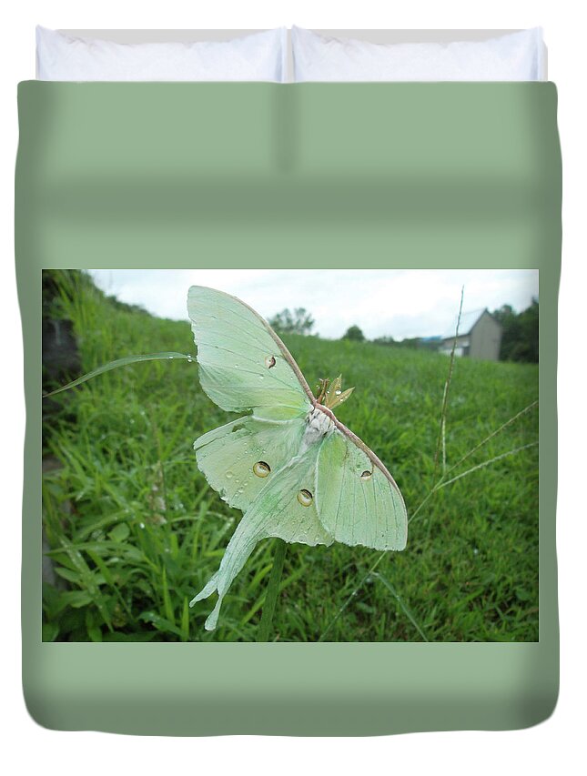 Luna Moth Duvet Cover featuring the photograph Morning Dew by Susan Esbensen