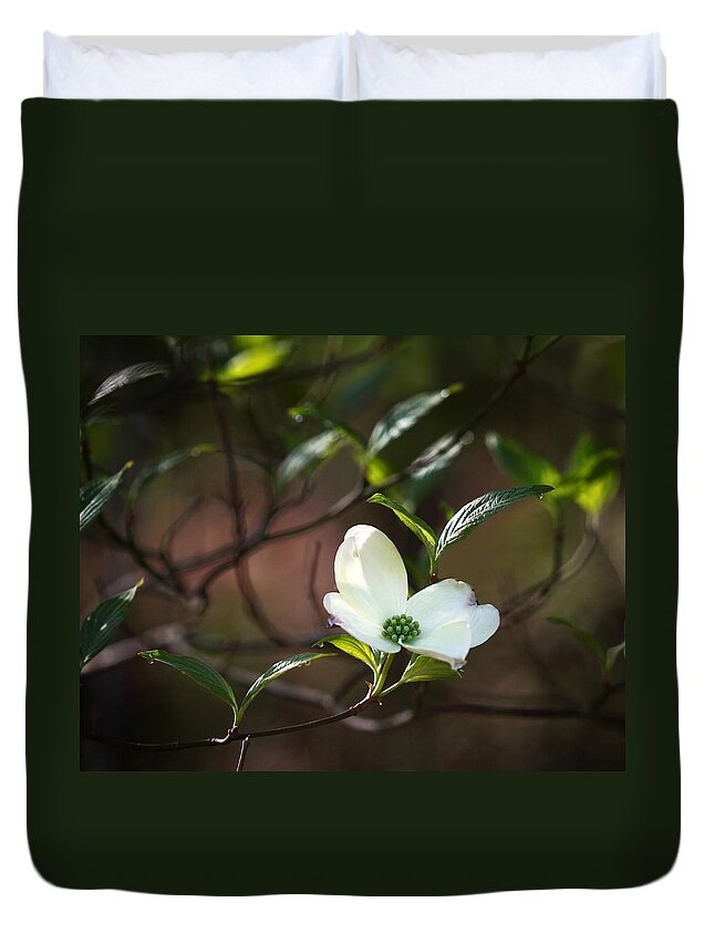 Dogwood Duvet Cover featuring the photograph Morning Dogwood at Buffalo River Trail by Michael Dougherty