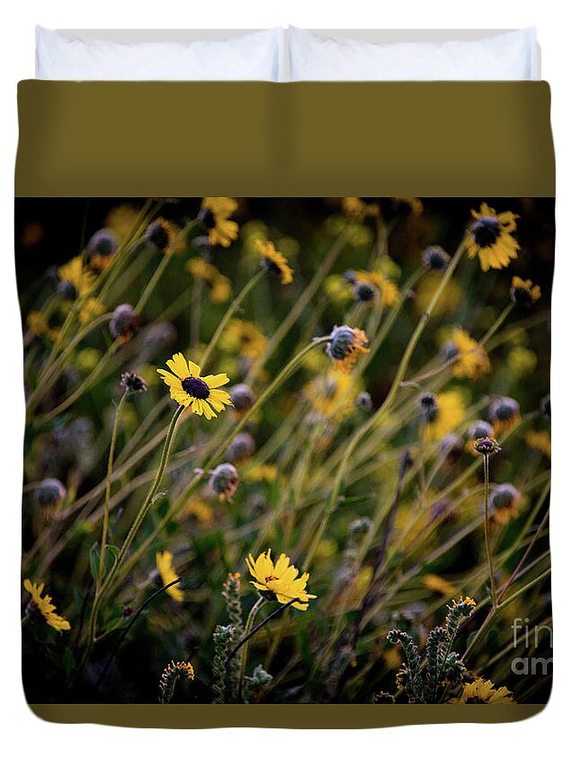 Spring Duvet Cover featuring the photograph Morning Flowers by Kelly Wade