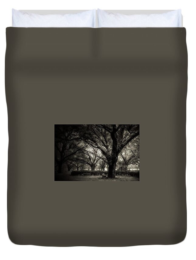  Duvet Cover featuring the photograph Morning Fog by Stoney Lawrentz
